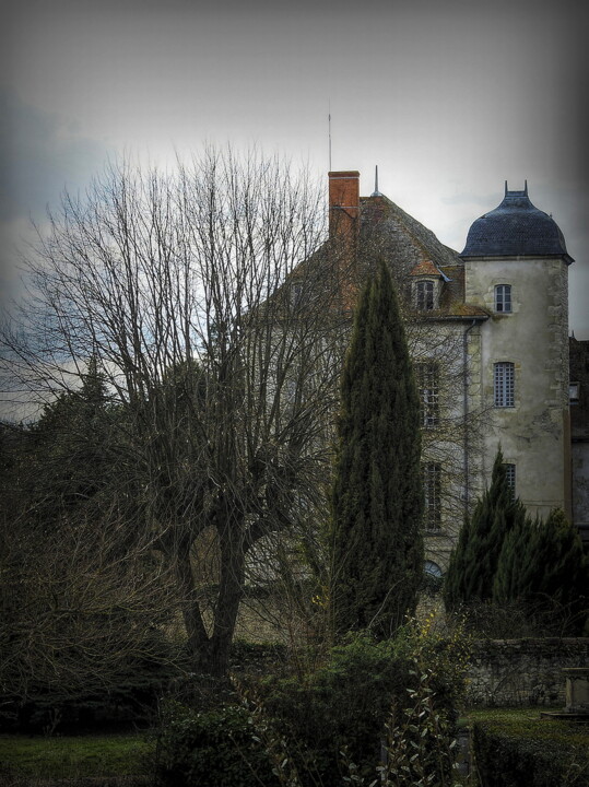 Photographie intitulée "Alone on the hill." par Dave English, Œuvre d'art originale, Photographie numérique