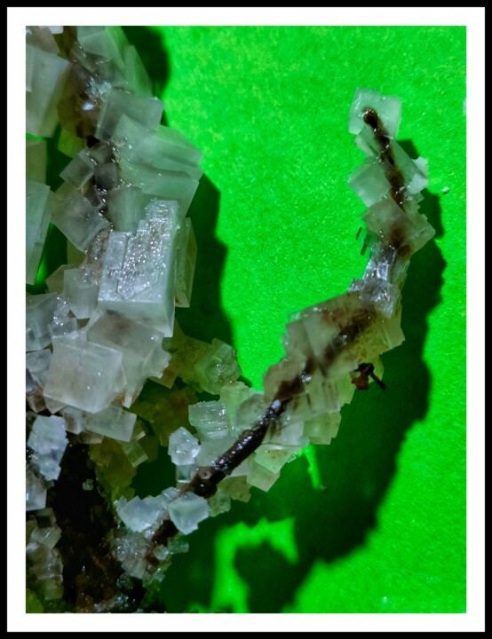 Fotografie getiteld "Ramo con cristalli" door Elisabetta Nannini Ne, Origineel Kunstwerk, Digitale fotografie