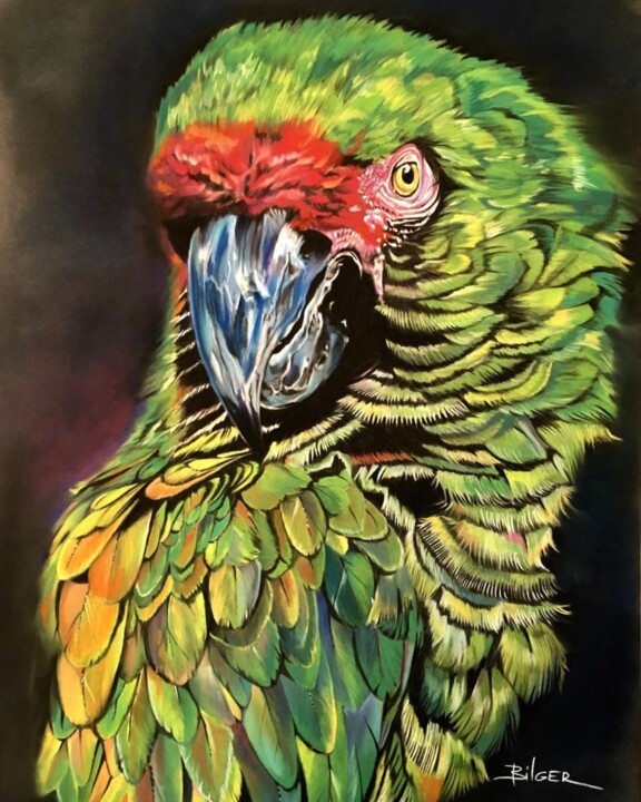 图画,  27.6x19.7 in 