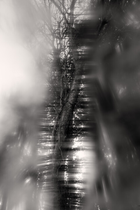 "muerte de un roble" başlıklı Fotoğraf Xan Gasalla González-Redondo tarafından, Orijinal sanat, Dijital Fotoğrafçılık