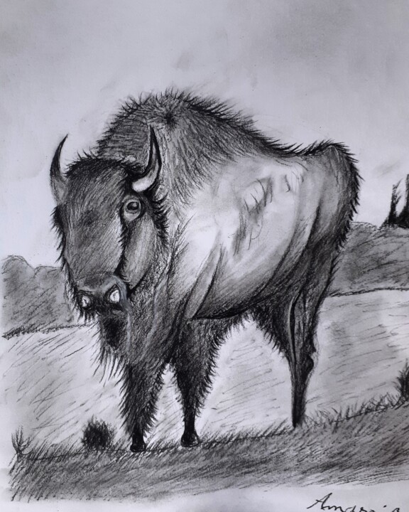 Un Bison Dans Une Plaine 图画, 11.8x9.5 in