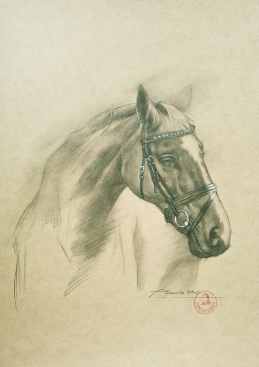 Horse #22730 图画, 11.6x8.3 in