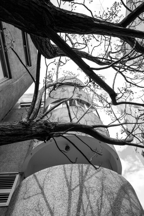 Bauhaus in Black and White 8113 Photography