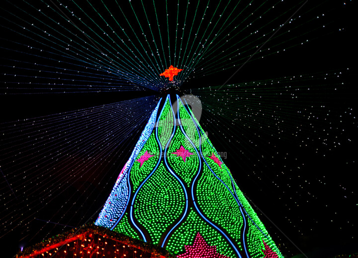MAC14-Celebration of Christmas Time 摄影