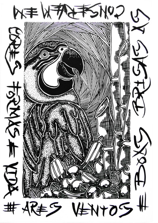 ARARAS / MACAWS 图画, 11.8x8.3 in