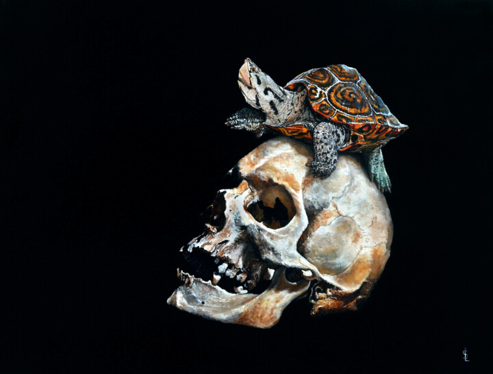 Painting titled "Malaclemys terrapin" by Sailev, Original Artwork, Oil Mounted on Wood Stretcher frame
