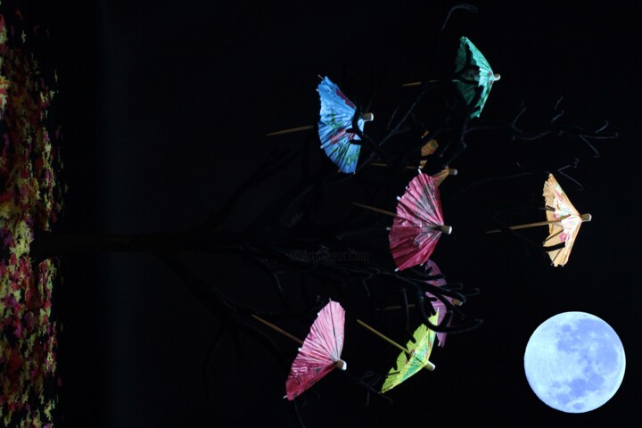 once in a blue moon Photography