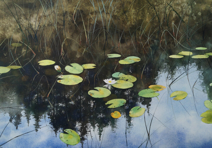 Forest lake with water lilies 绘画, 15.8x20.9 in