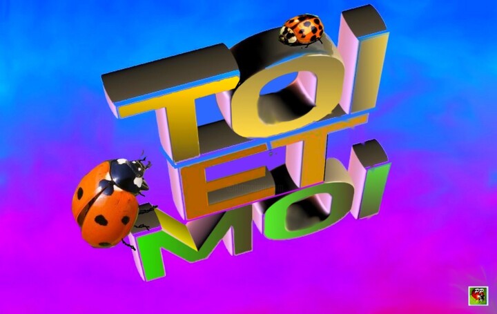 TOIET MOI