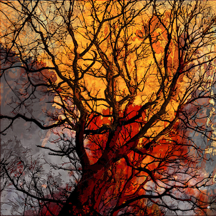 Carpinus Infernus Digital Arts, 35.4x35.4 in