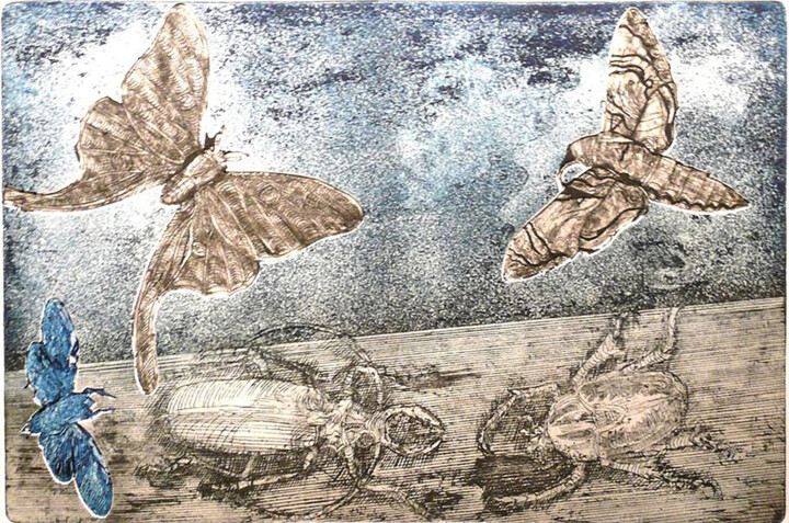 Planche entomologique II 印花与版画, 7.9x11.8 in