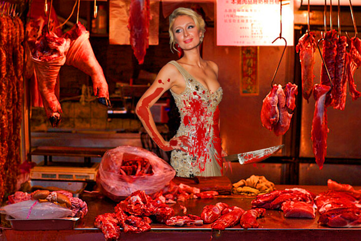 Paris Hilton The Butcher 绘画, 16x24 in