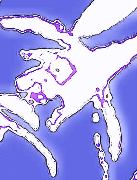Biting the Hand That Feeds You 1n3 摄影, 40x30.4 in