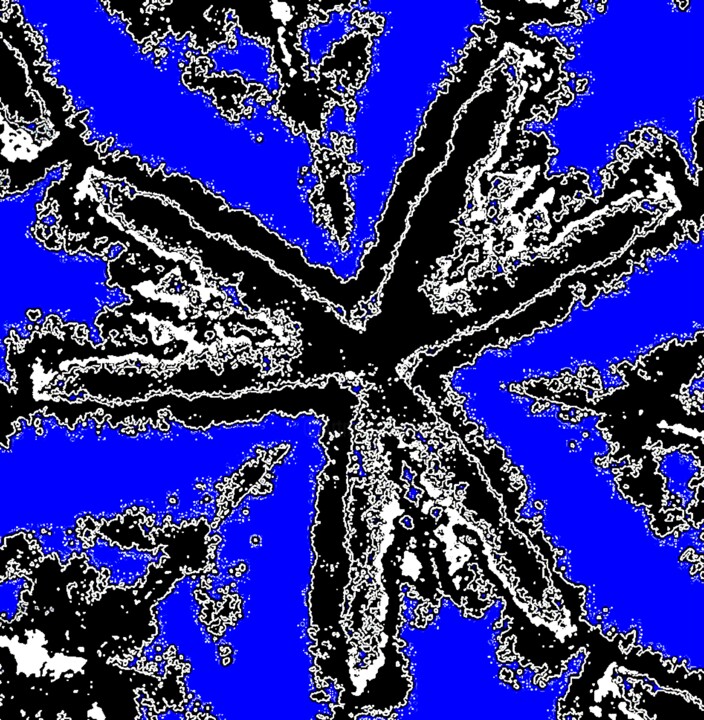 摄影,  40x39.1 in 