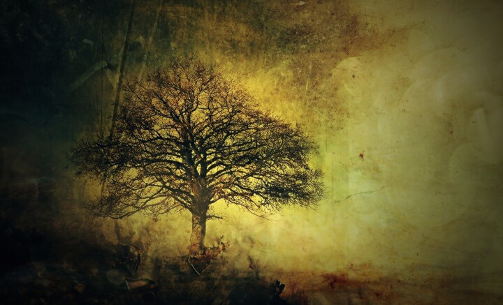 Photographie intitulée "Light and Dark." par Dave English, Œuvre d'art originale, Photographie manipulée