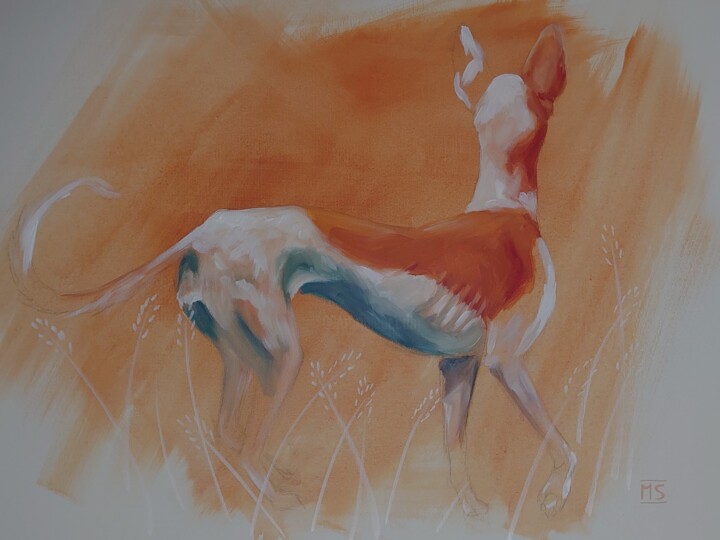 Podenco im Feld 绘画, 19.7x27.6 in