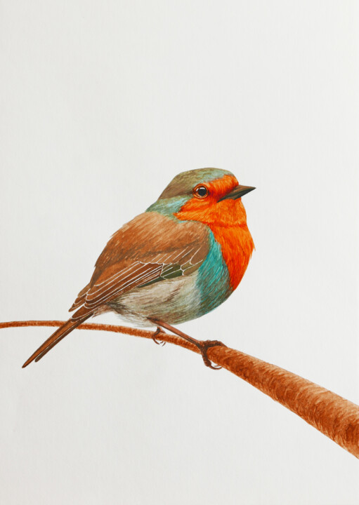 제목이 "Fluffy robin on the…"인 미술작품 Karina Danylchuk로, 원작, 수채화