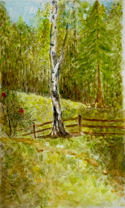제목이 "Birch"인 미술작품 Olga Liutova-Amplatz로, 원작, 수채화