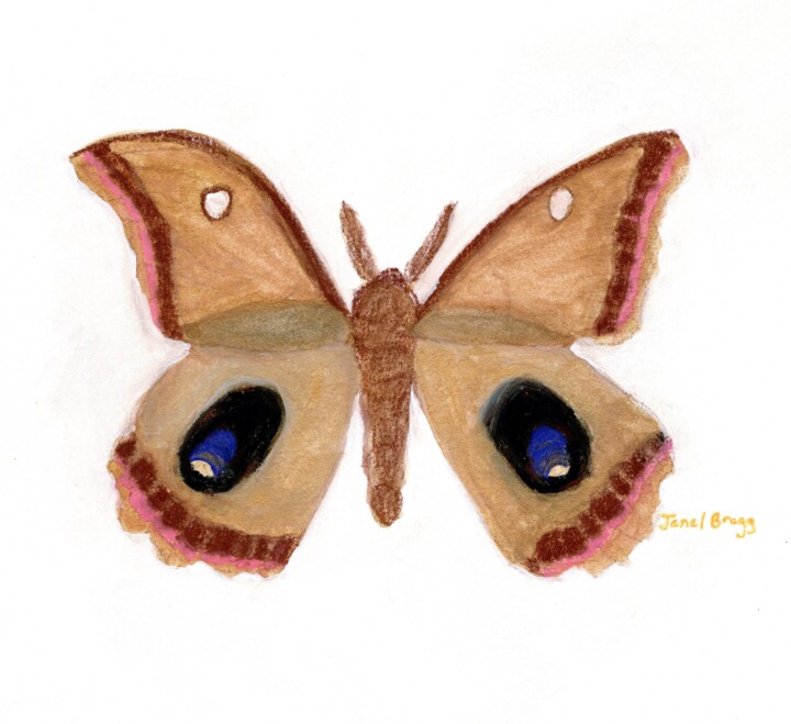 Moth Endearment II 绘画, 10x10 in
