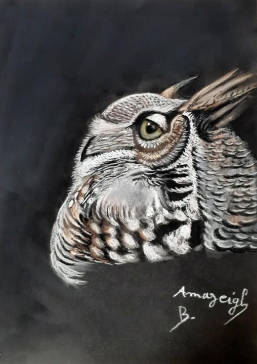 A Howl in the Darkness 图画, 11x7.9 in