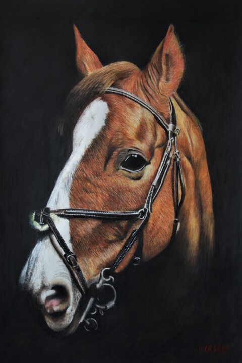 Cheval 图画, 212.6x129.9 in