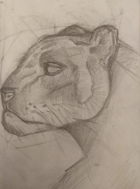 Disegno intitolato "croquis 6" da Houssein Kh, Opera d'arte originale, Matita