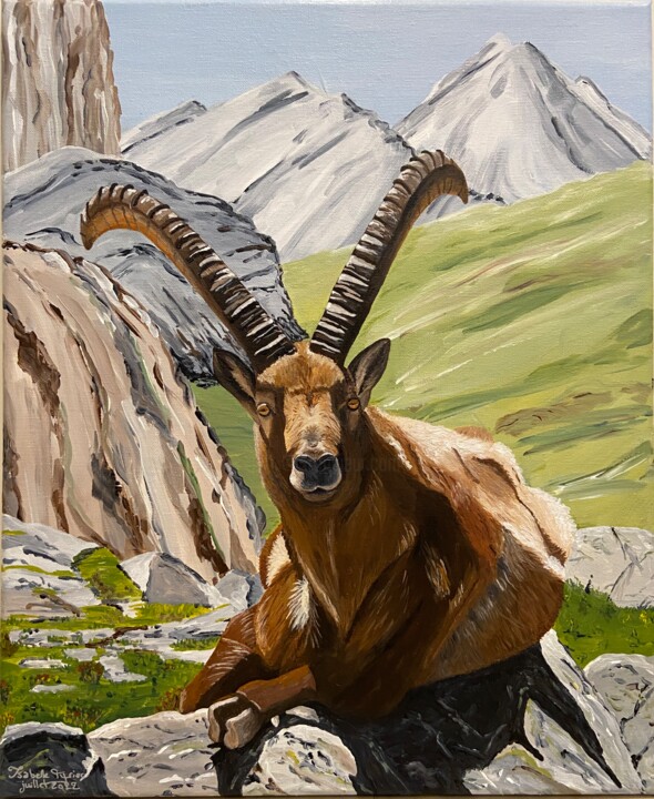 Bouquetin du Mercantour 绘画, 18.1x15 in