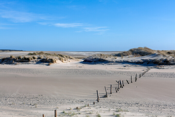 Aanvullende afbeeldingen 3