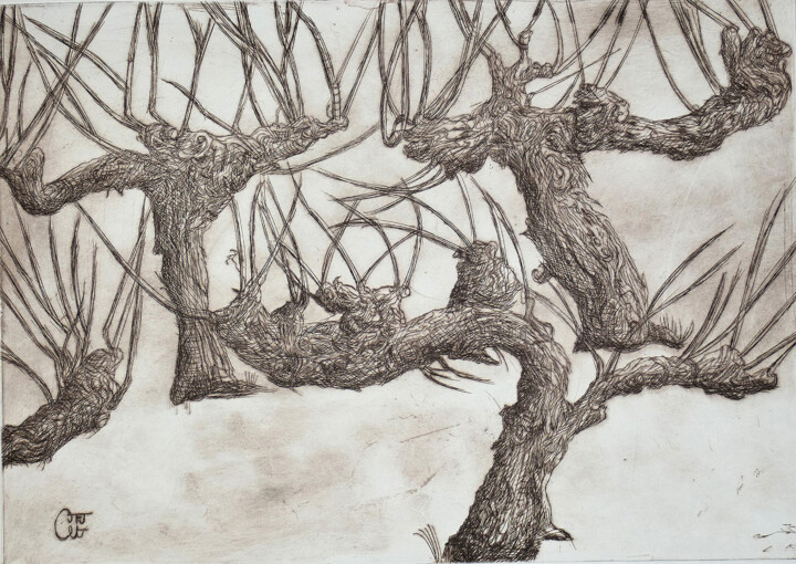 Ceps de vigne en hiver avant la taille 印花与版画, 8.4x11.7 in