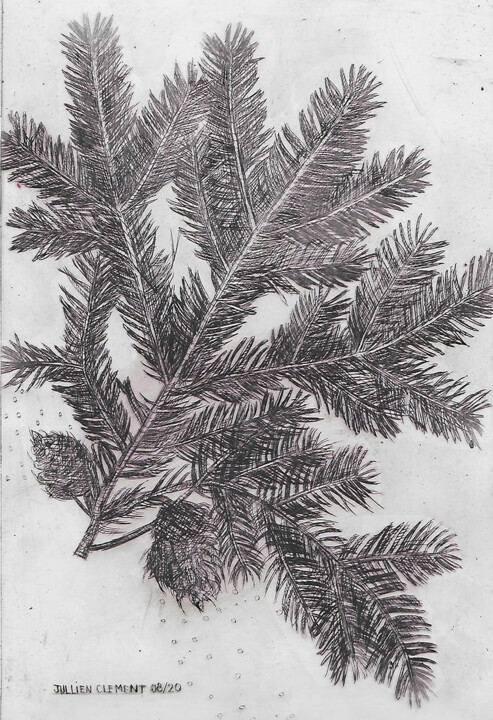 Branches d'épicéas 印花与版画, 11.7x8.3 in