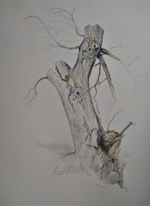 Oak in the mountains. Eiche im Gebirge. 图画, 15.8x11.8 in