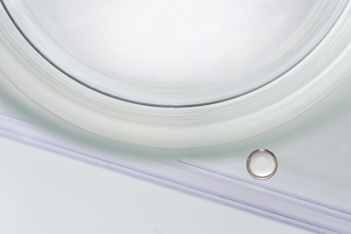 Fotografie getiteld "The circle and the…" door Roberto Colombo, Origineel Kunstwerk, Niet gemanipuleerde fotografie