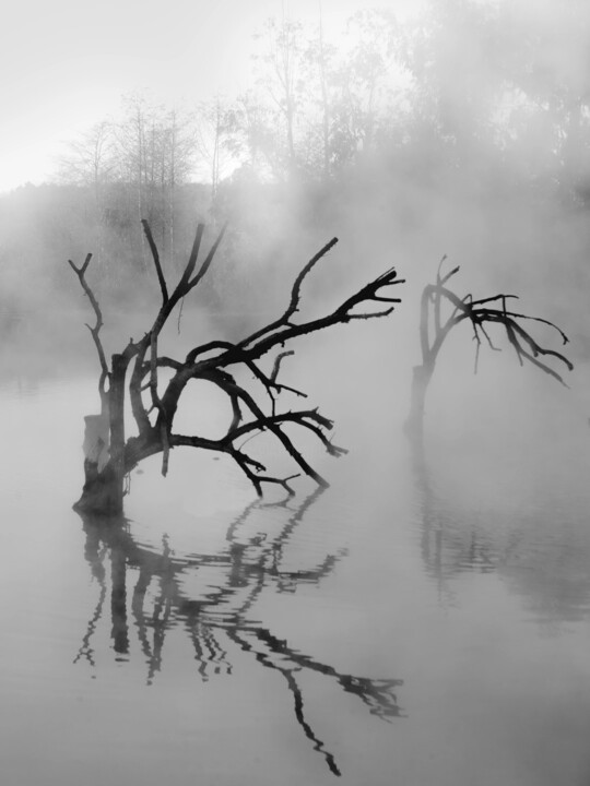 Фотография под названием "Untitled #1" - Danila Povarov, Подлинное произведение искусства, Цифровая фотография