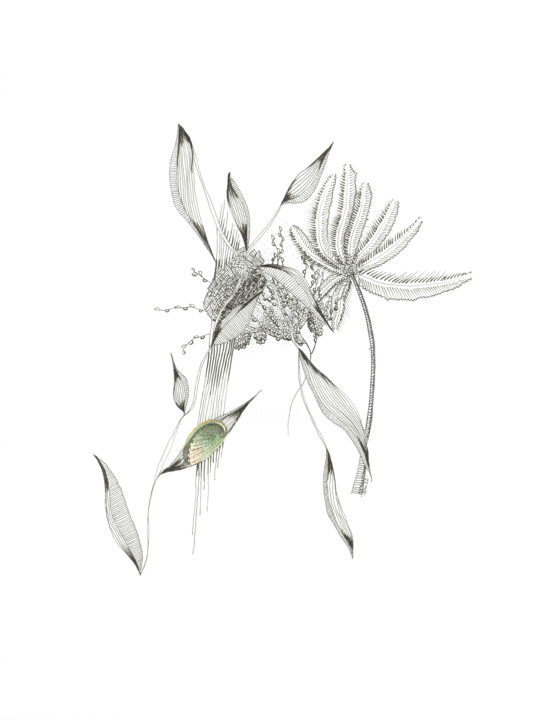 Love vegetal #3 图画, 12.6x9.5 in