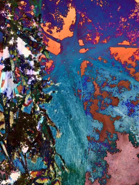 Digital Arts titled "Tree" by Lisa Trevino, Original Artwork, Photo Montage