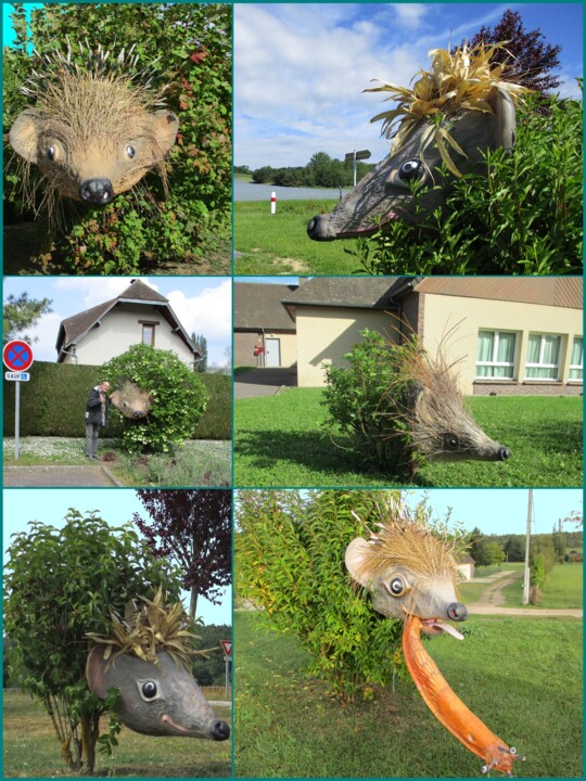 Installation 2018 Hérissons devant la Mairie Guerny 摄影