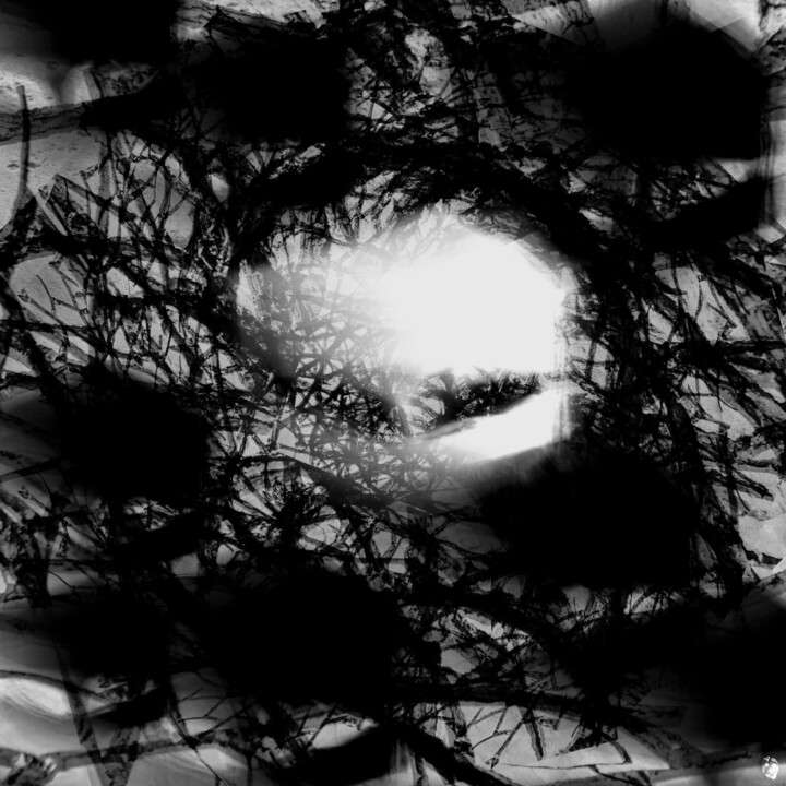 Photography titled "hallucination ıı" by Sabine Stoye (artskorps.photography), Original Artwork, Digital Photography Mounted…