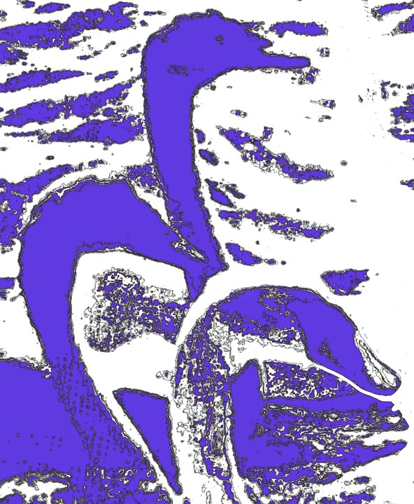 3 Swans 1g6 摄影, 40x32.9 in