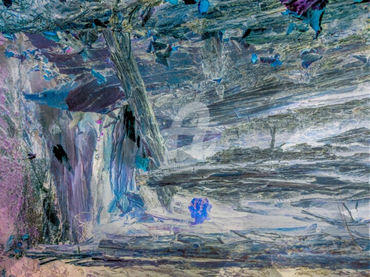 摄影,  46.1x61.4 in 