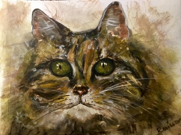 Cat watercolour painting 绘画, 4x7 in