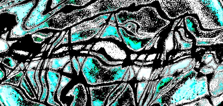Portuguese Man-o-war Catching an Eel 1h6b 摄影, 28.6x60 in