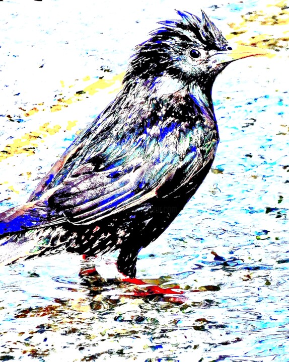 摄影,  20x16 in 
