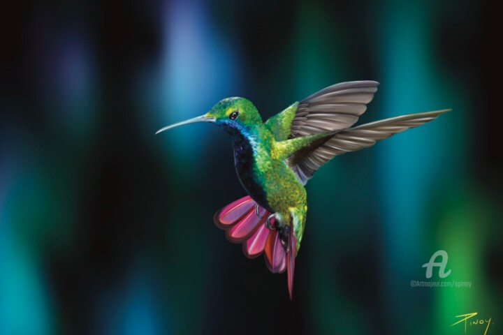 Colibri N•1 数字艺术, 11.7x16.5 in