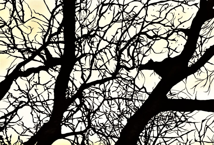 Drawing titled "Structures et ramur…" by Camille Escudero, Original Artwork, Ink