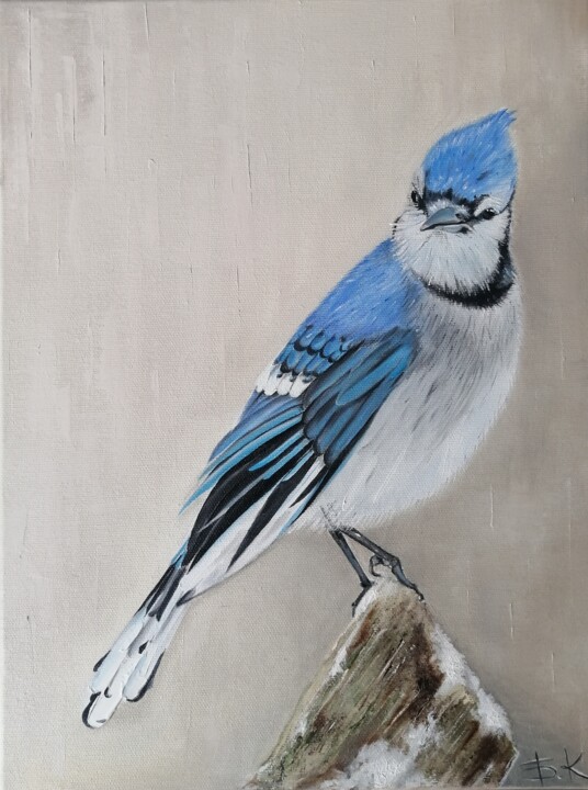 Jay 绘画, 15.8x11.8 in