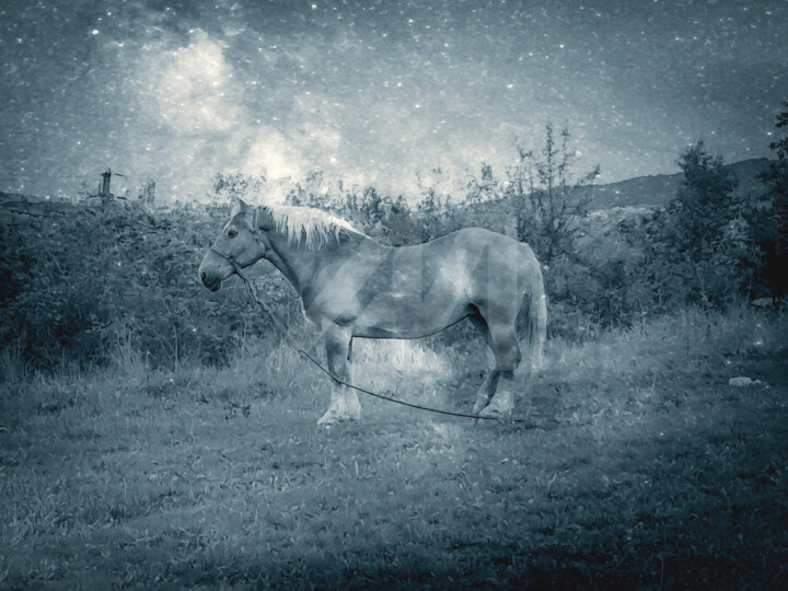 Vintage cosmic silver galaxy cottage core horse pasture 数字艺术