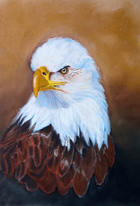 L'aigle 绘画, 15.8x11.8 in