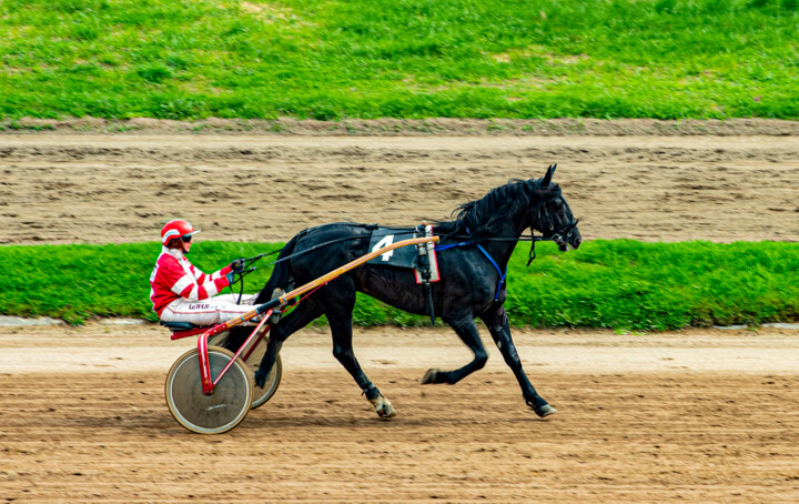 Horse racing 摄影