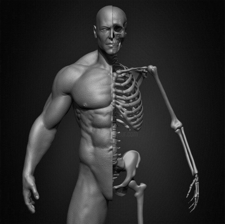 Digital Arts 
