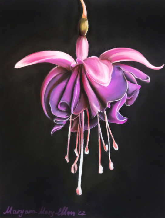绘画 标题为“Fuchsia blossom” 由Mariam Mary-Ellen, 原创艺术品, 粉彩